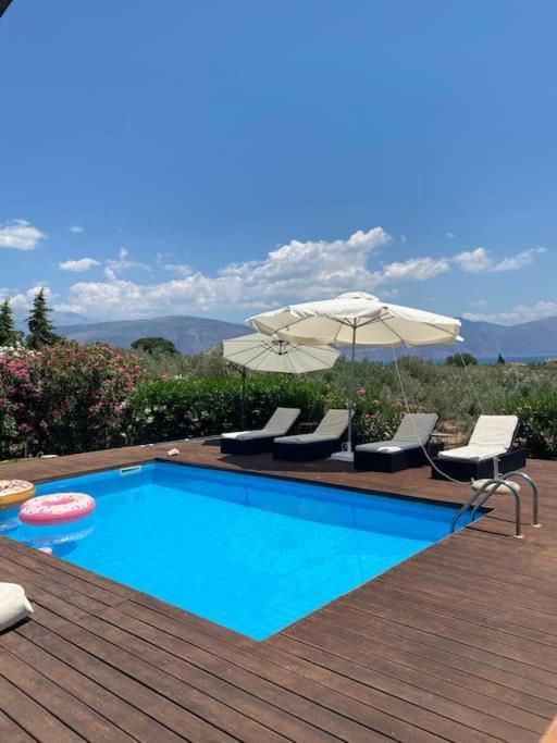 Georges Villa Galaxidi, Family, Pool And Garden 외부 사진