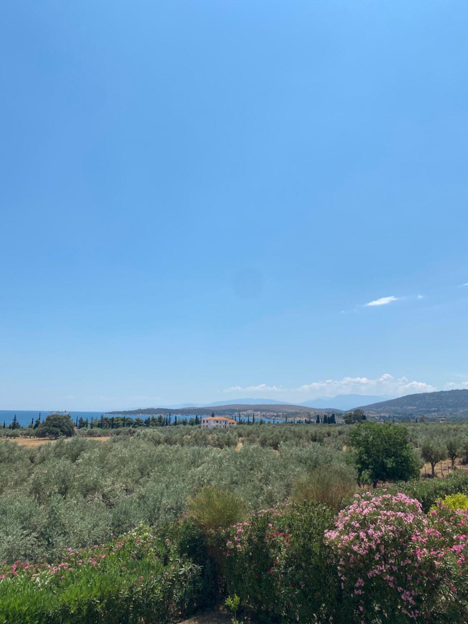 Georges Villa Galaxidi, Family, Pool And Garden 외부 사진