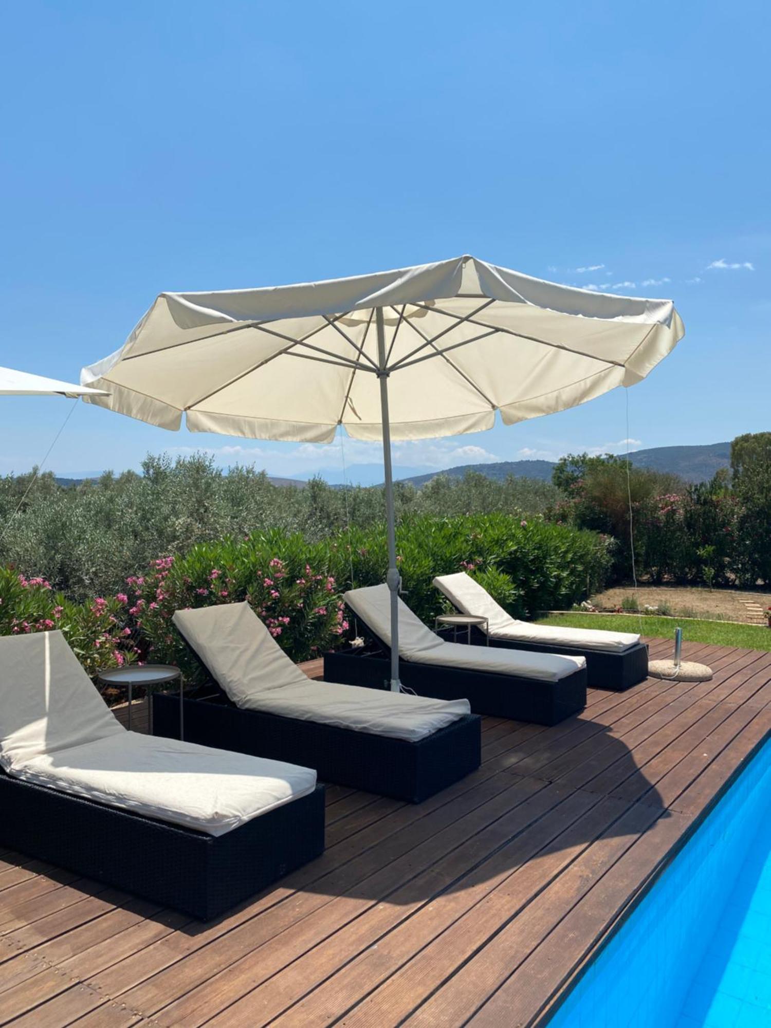 Georges Villa Galaxidi, Family, Pool And Garden 외부 사진