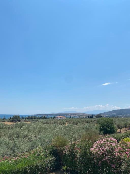 Georges Villa Galaxidi, Family, Pool And Garden 외부 사진