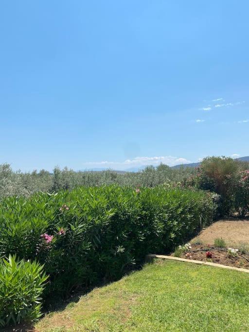 Georges Villa Galaxidi, Family, Pool And Garden 외부 사진