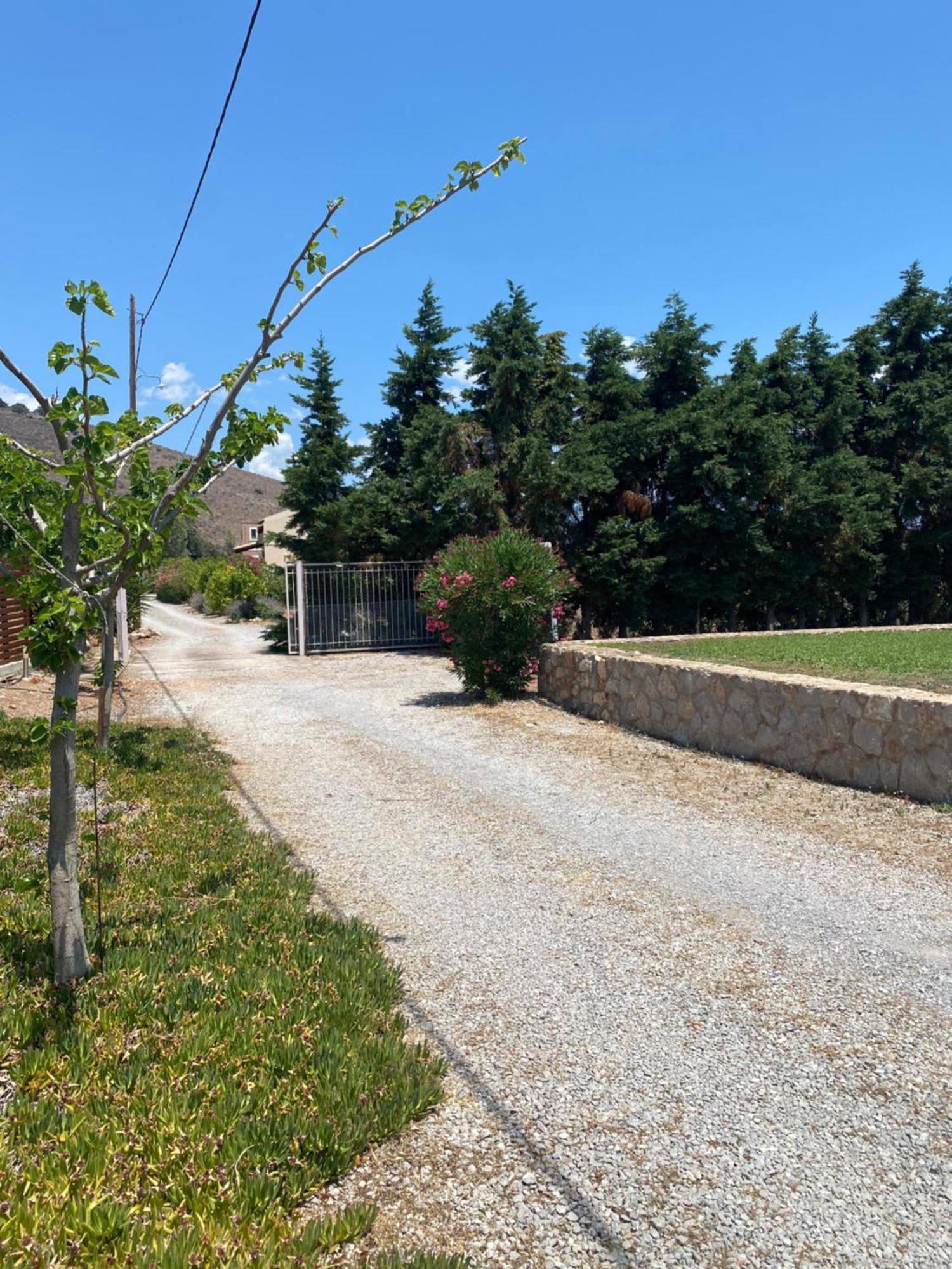 Georges Villa Galaxidi, Family, Pool And Garden 외부 사진